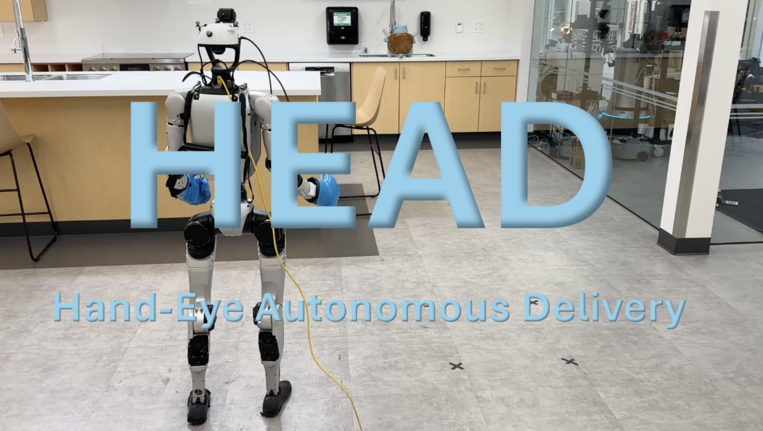 Hand-Eye Autonomous Delivery